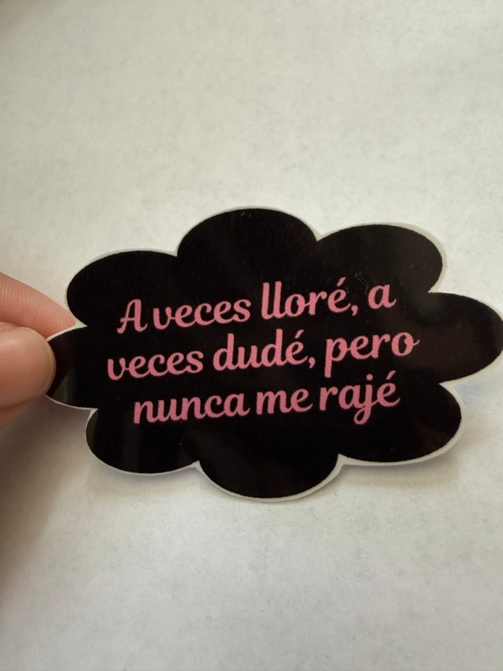 A veces lloré, a veces dudé, pero nunca me rajé sticker
SKU2336
